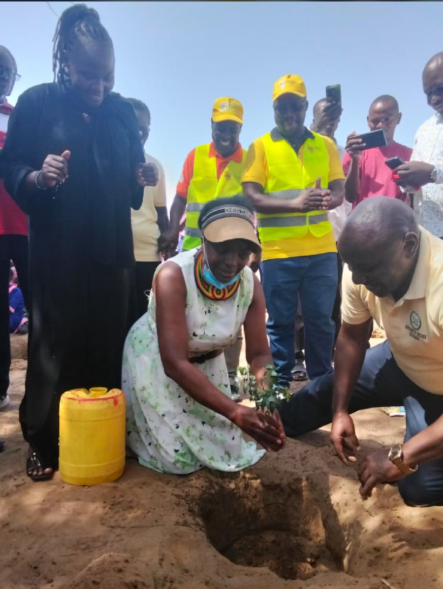 Tree Planting