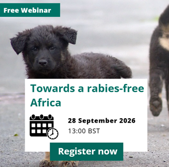 2026