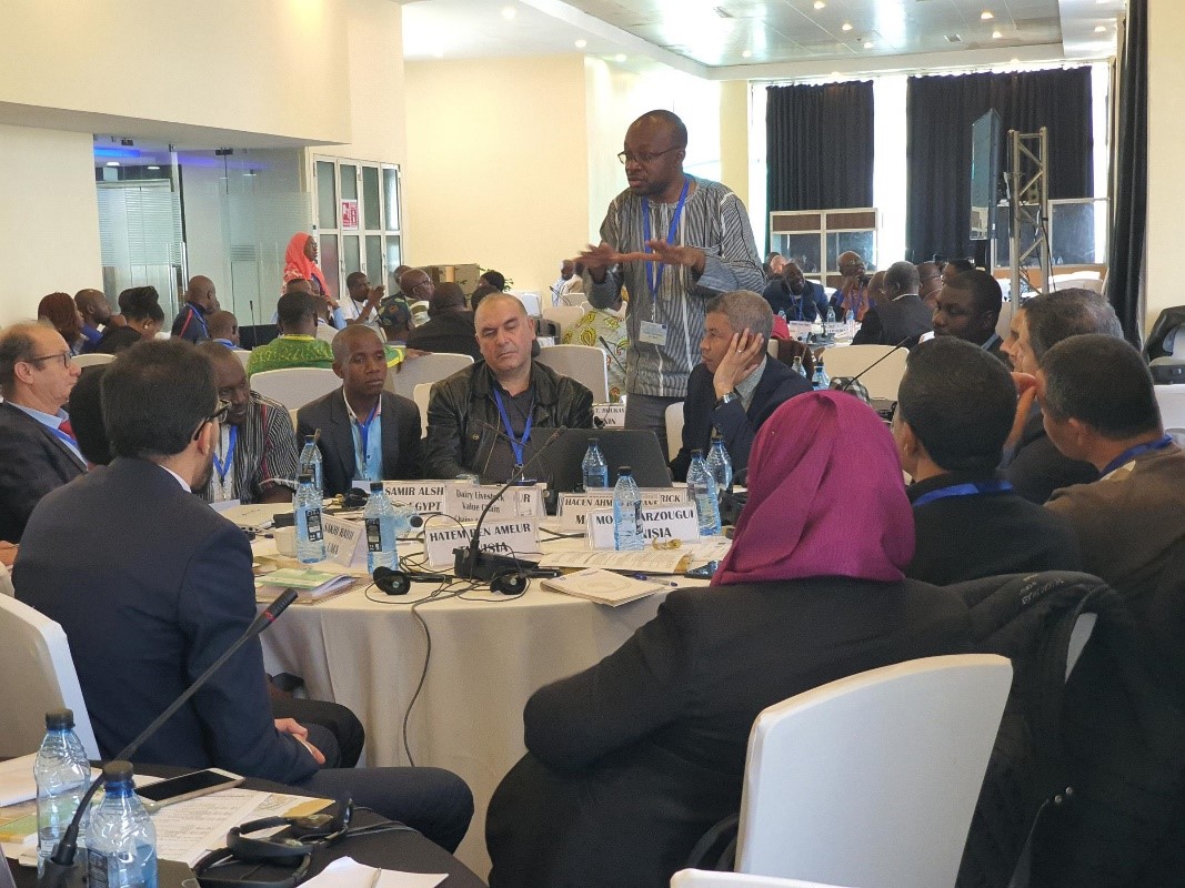 Systemic Capacity Building Continental Workshop of Regional Livestock Value Chains