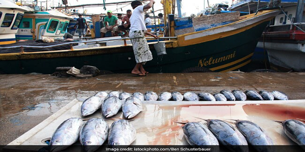 Think Tank reviews and adopts modalities to efficiently operationalize revised African Fisheries Reform Mechanism
