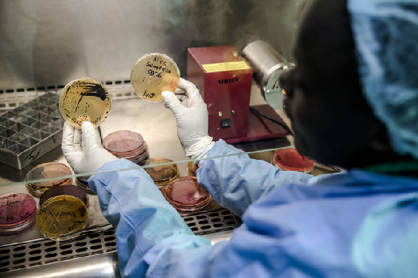 Africa AMR Surveillance Network Inaugural Meeting Highlights