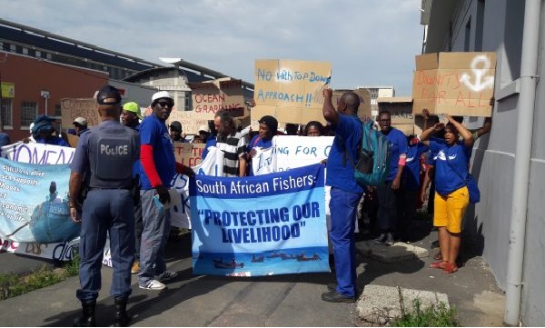 Non-State actors in the fisheries and aquaculture sector strengthen coordination mechanisms by establishing an African NSA Coordinating Platform