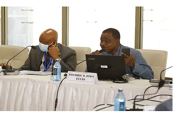 Strengthening the inclusion of livestock in the Regional Agriculture Investment Plans: The initial livestock sector review of the ECCAS CAP and PRIASAN