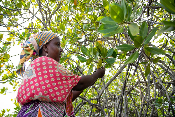 Upcoming Event - Supporting Malawi develop a gender-mainstreaming biodiversity conservation and environmental management strategy 