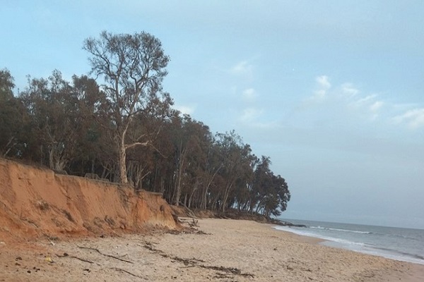 Release of new advocacy note on minimising climate change's impact on African aquatic ecosystems and biodiversity