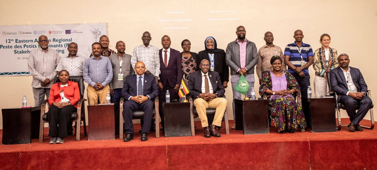 Eastern Africa Strengthens Regional Coordination to Accelerate PPR Eradication and Advance Animal Health