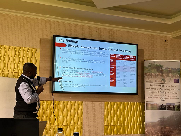 Sustainable utilisation of IGAD rangelands and cross-border natural grazing resources