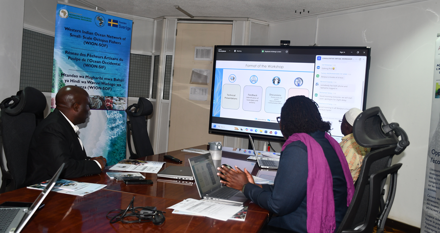WION-SOF Moves Forward by Enhancing Governance and Gender Inclusion in Octopus Fisheries