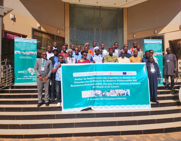 Transforming Disease Reporting in West & Central Africa with ARIS-3