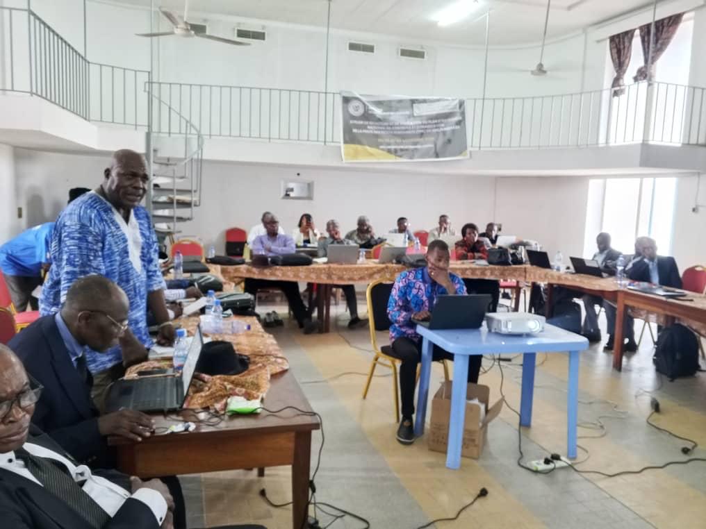 La RDC valide sa stratégie nationale actualisée pour l'éradication de la PPR : une étape cruciale vers une Afrique sans PPR d'ici 2030