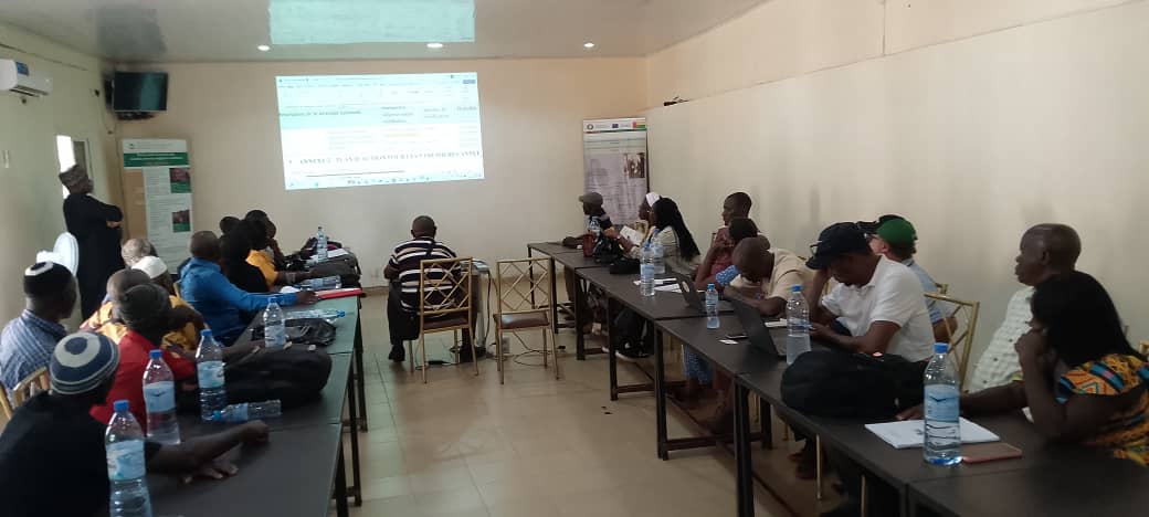 Guinée-Bissau : un pas décisif vers l’éradication de la PPR à l’horizon 2030