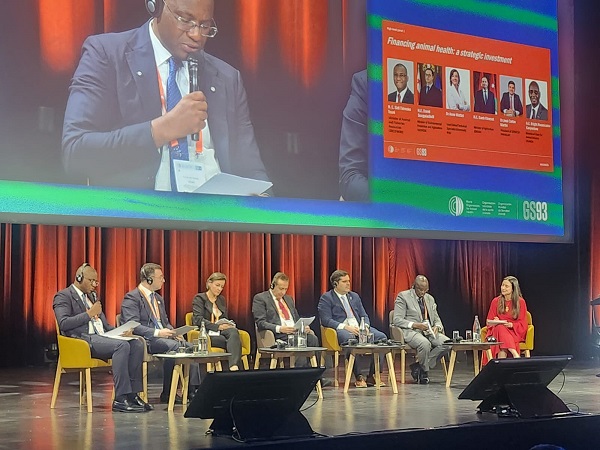 Africa’s Voice on Animal Health Investment at the 93rd WOAH General Session