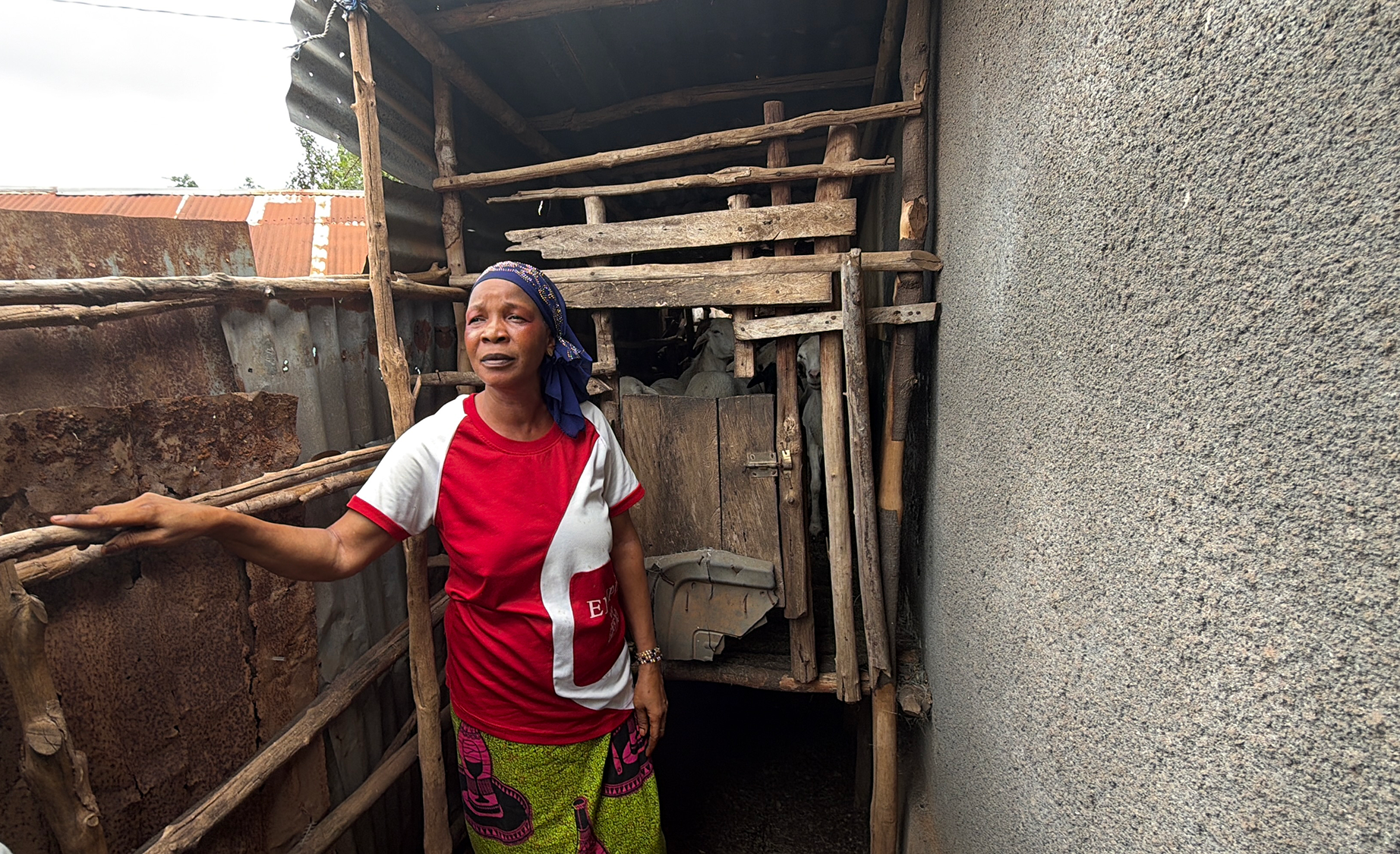« Le bétail m'a permis de reconstruire ma vie »Le témoignage de Jeanne Coevoli, éleveuse en Guinée