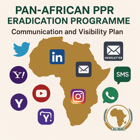 Communication plan validation: improving visibility and engagement in the fight against PPR