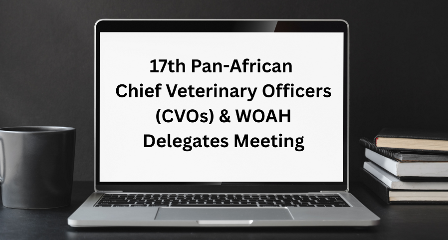 17th Pan-African Chief Veterinary Officers (CVOs) and WOAH Delegates Meeting
