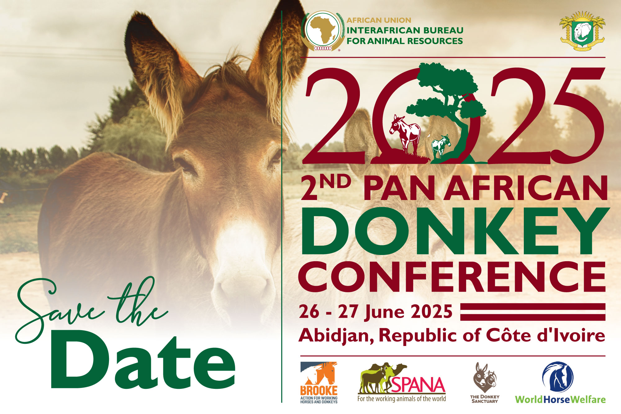 Africa Set to Advance Donkey Welfare at the Second Pan African Donkey Conference (PADCO-2)