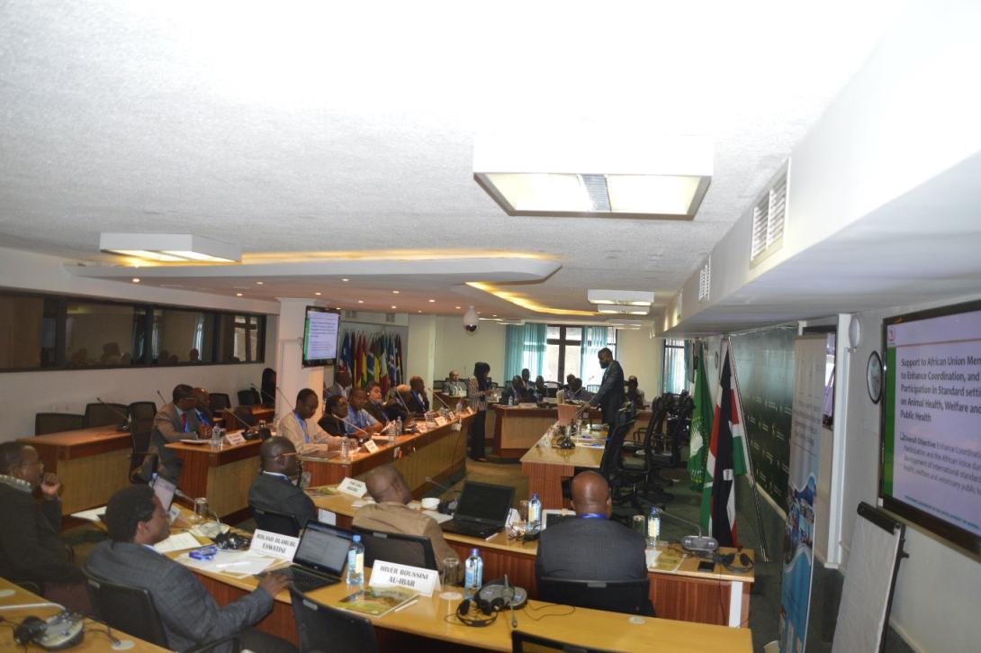 © 2020 AU-IBAR. Animal Health Experts recommend measures to boost OIE Standards in Africa.