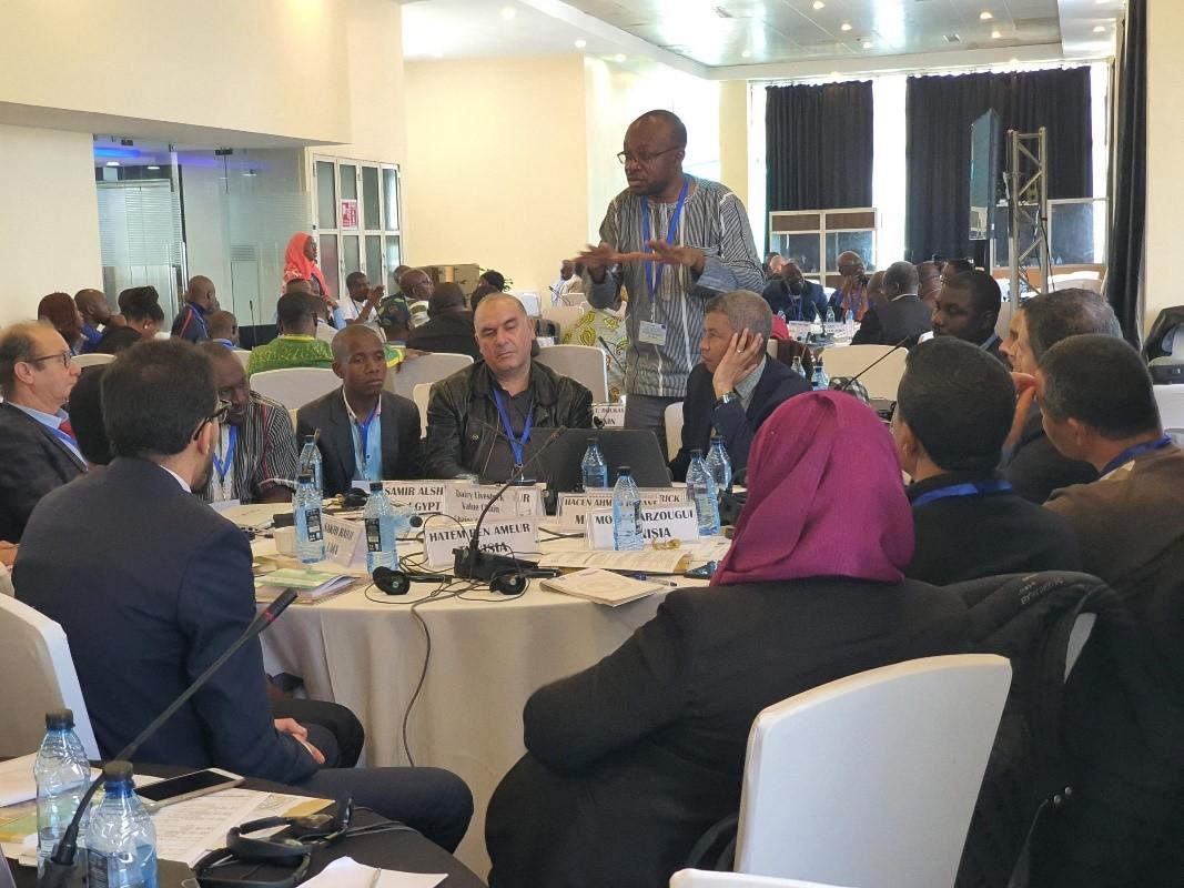© 2020 AU-IBAR. Systemic Capacity Building Continental Workshop of Regional Livestock Value Chains. Work Session.