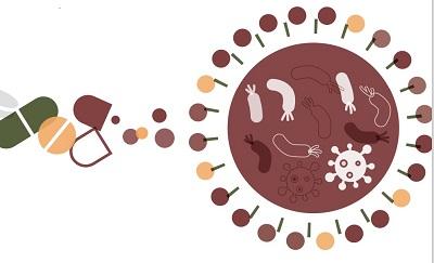 Cover page African Union Framework on AMR Control