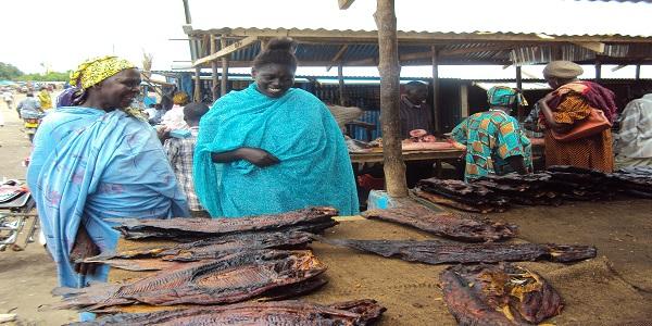 © AU-IBARFisheries