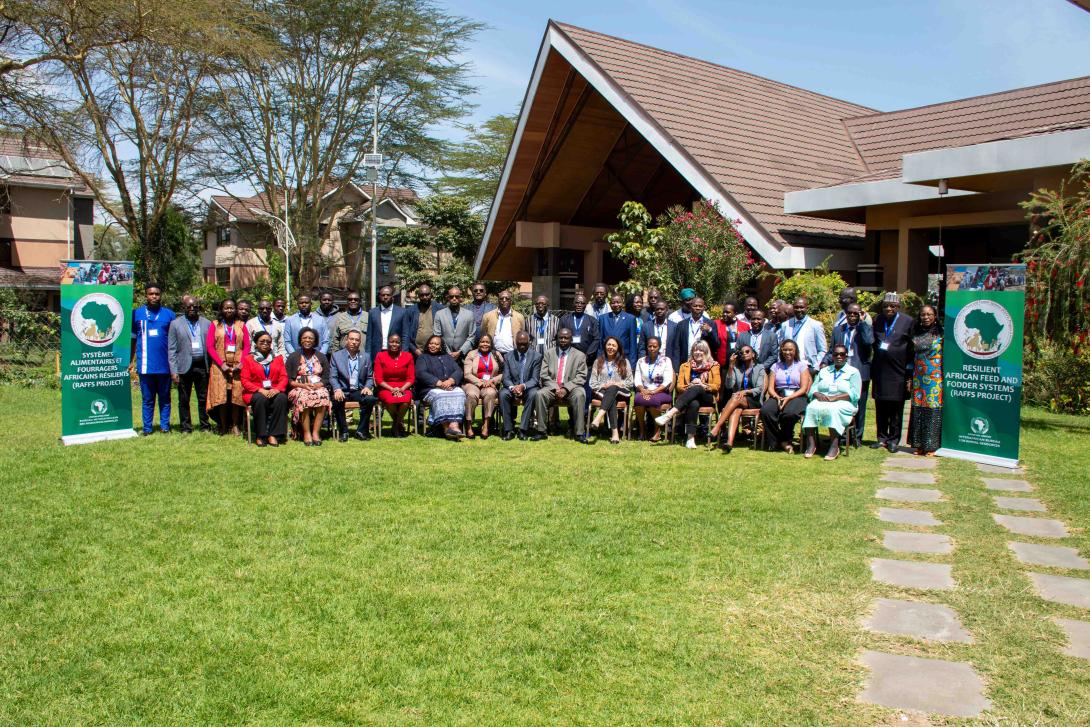 Resilient African Feed and Fodder Systems