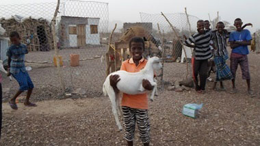  © 2016 AU-IBAR/@HBoussini. A pastoralist young kid holding his goat in Tadjourah region in Djibouti.