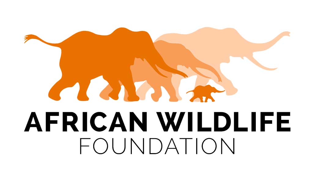 The African Wildlife foundation