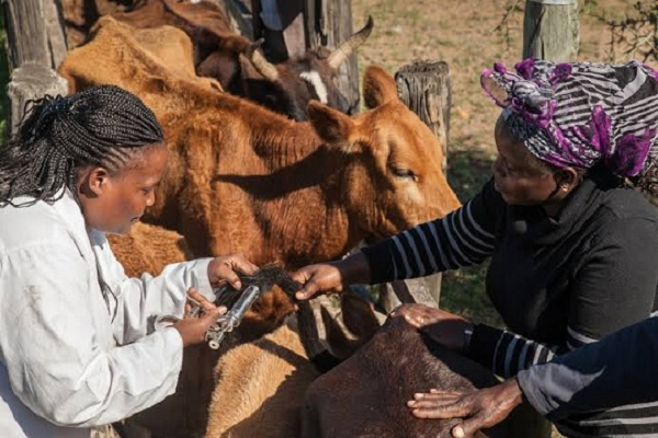 African Union Diplomatic force champion resolution on Animal Welfare- Environment-Sustainable Development Nexus | The African Union –  Interafrican Bureau for Animal Resources (AU-IBAR)