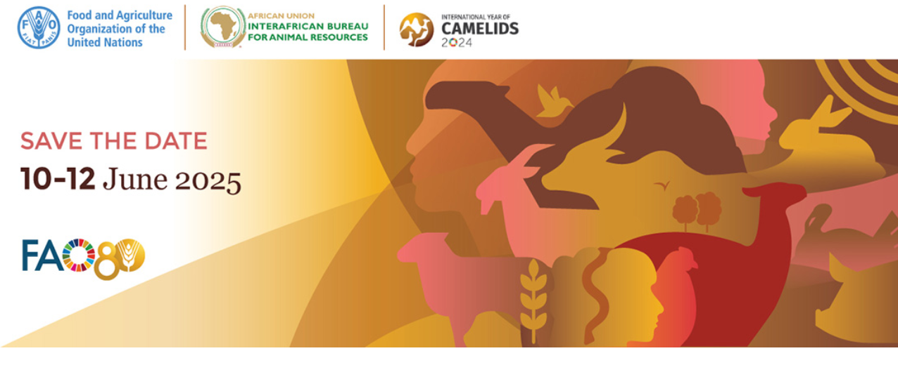 Camelids