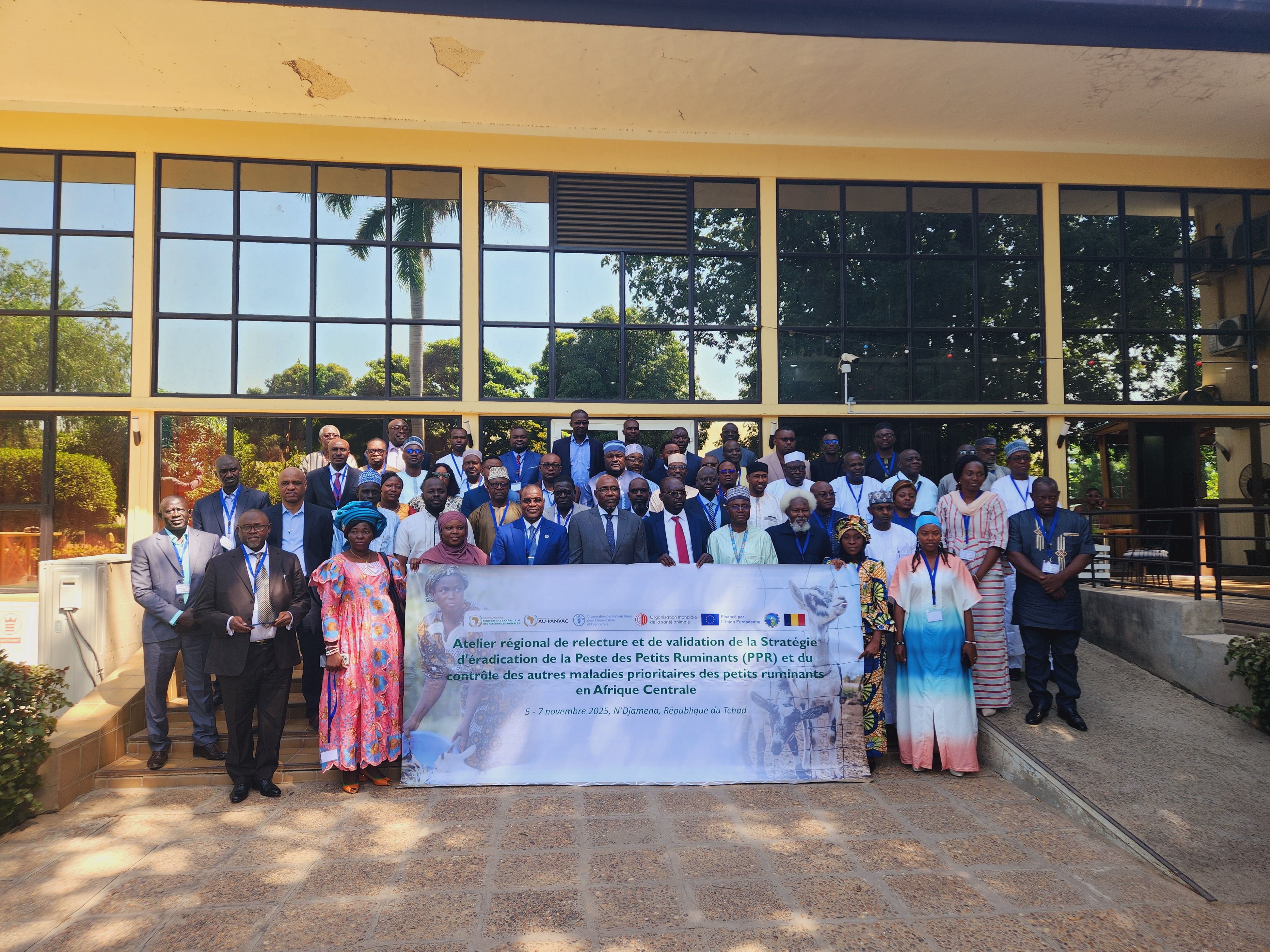 L'Afrique centrale valide sa stratégie régionale pour l'éradication de la peste des petits ruminants (PPR)