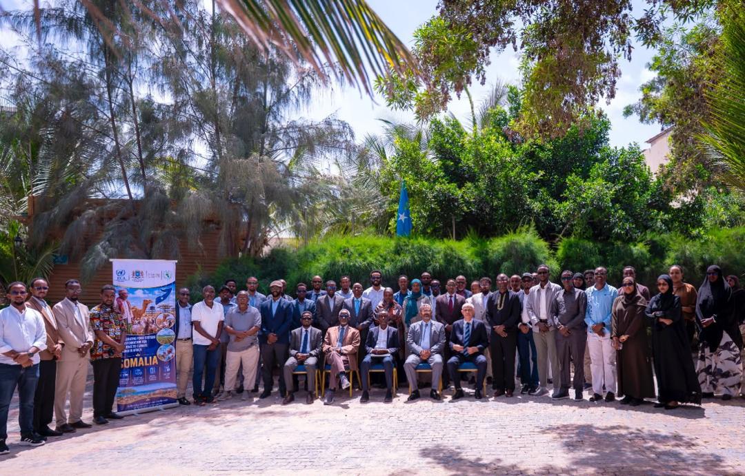 AU-IBAR, ECA and IGAD Conclude National Inception Workshops in Kenya, Uganda and Somalia, Advancing Climate-Resilient Livestock Systems Across the Horn of Africa