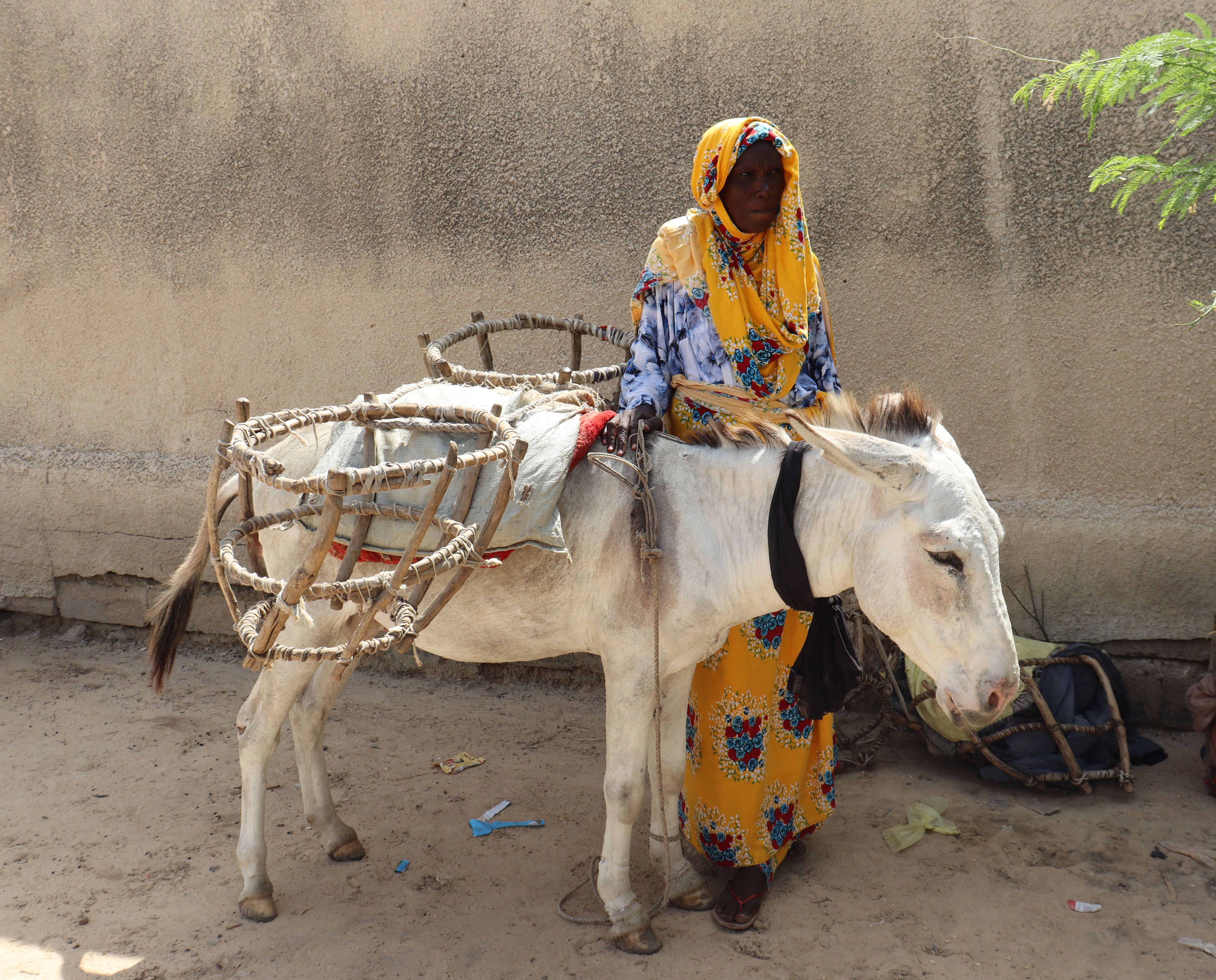 Amina et son fidèle compagnon : l’histoire d’un lien indéfectible à Massaguete (Tchad)