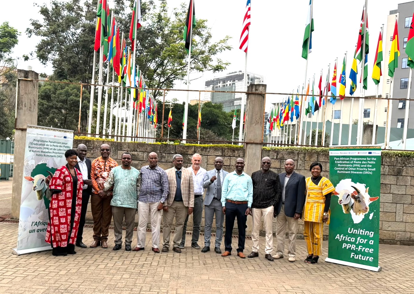 From Planning to Field Impact Shaping the Next Phase of PPR Eradication in Africa