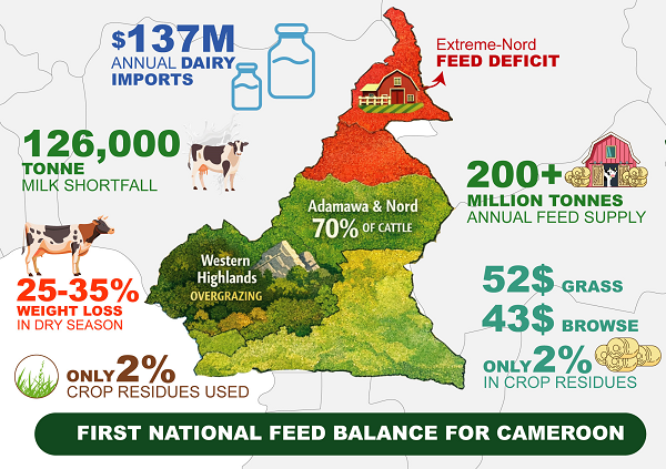 Turning Feed Data into Opportunity for Cameroon’s Livestock Transformation