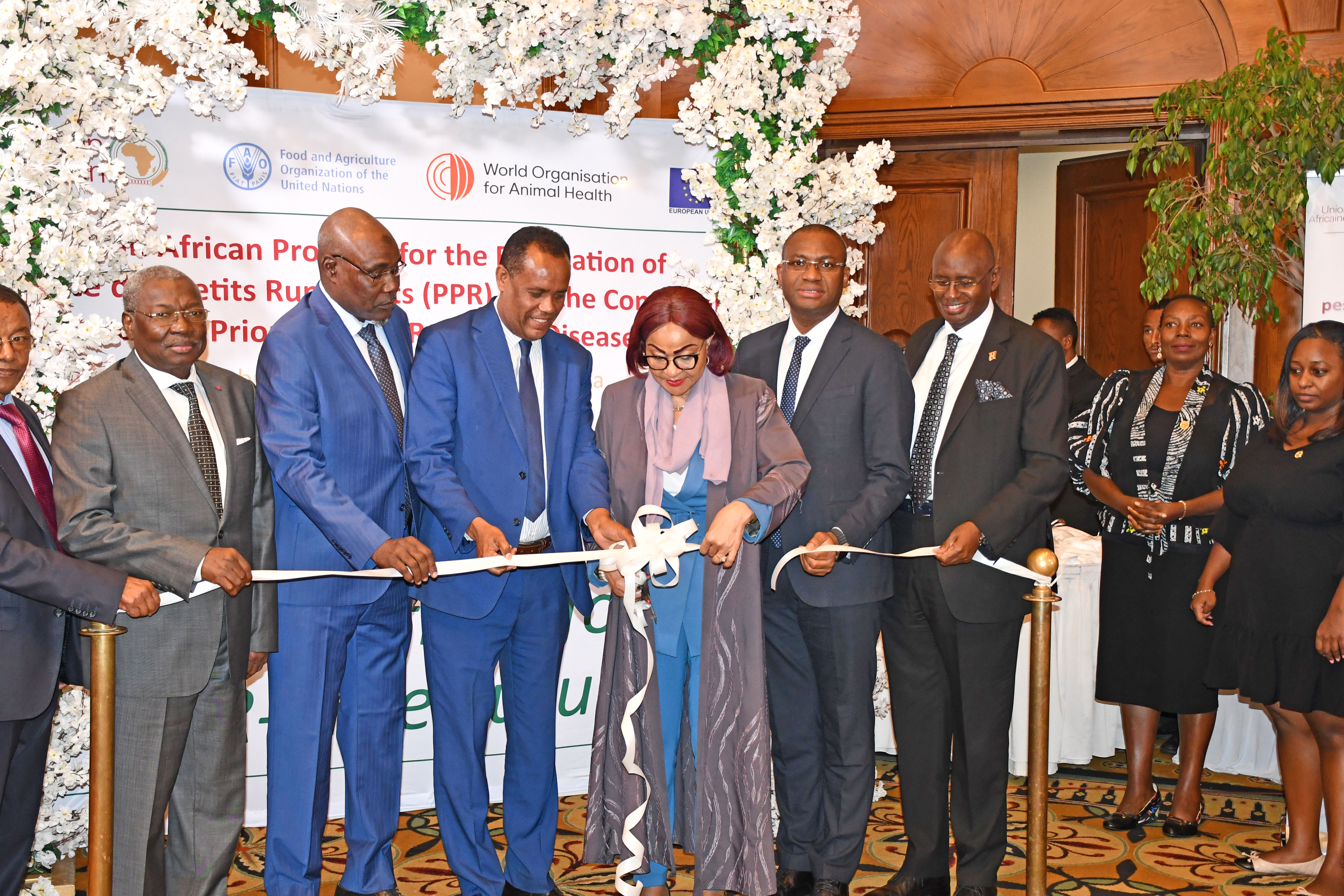 Africa launches the Pan-African Program for the Eradication of PPR by 2030