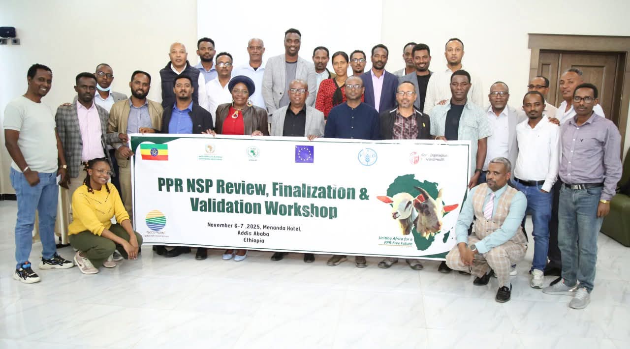 Ethiopia Reviewed and Validates Its Second National Strategic Plan for the Eradication of PPR by 2030