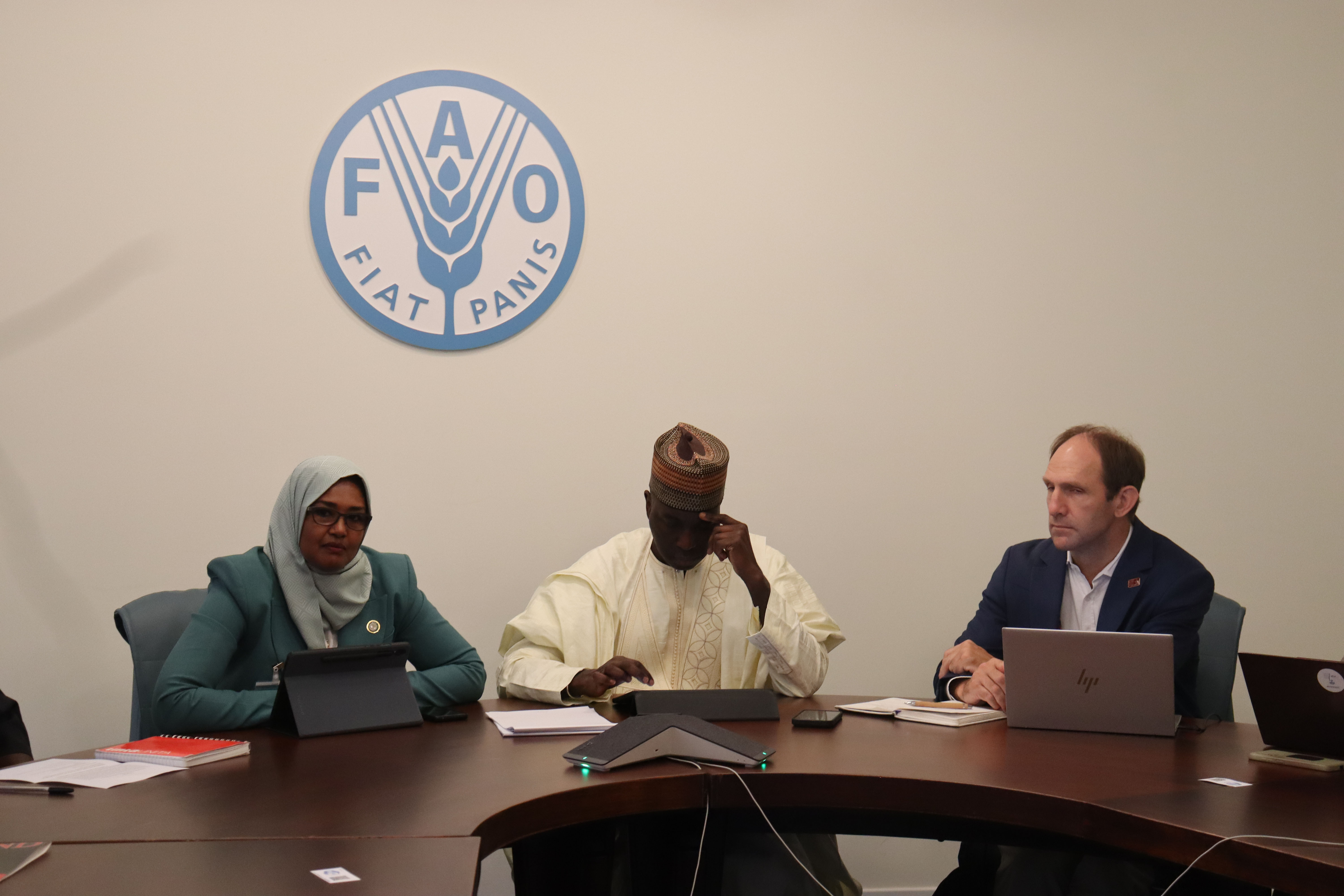 Towards the global eradication of PPR: partnerships, funding and shared responsibility   