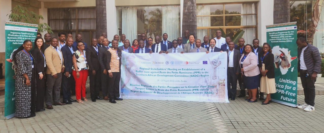Southern Africa Gathers to Build a Buffer Zone Against Peste des Petits Ruminants