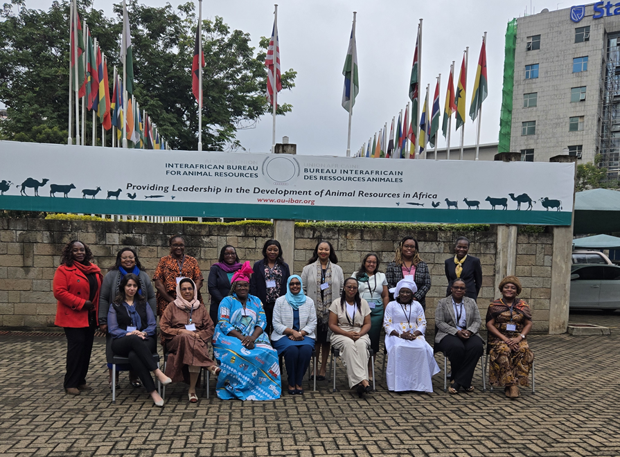 AWFISHNET Prepares New Bureau with Training on Governance and Accountability 