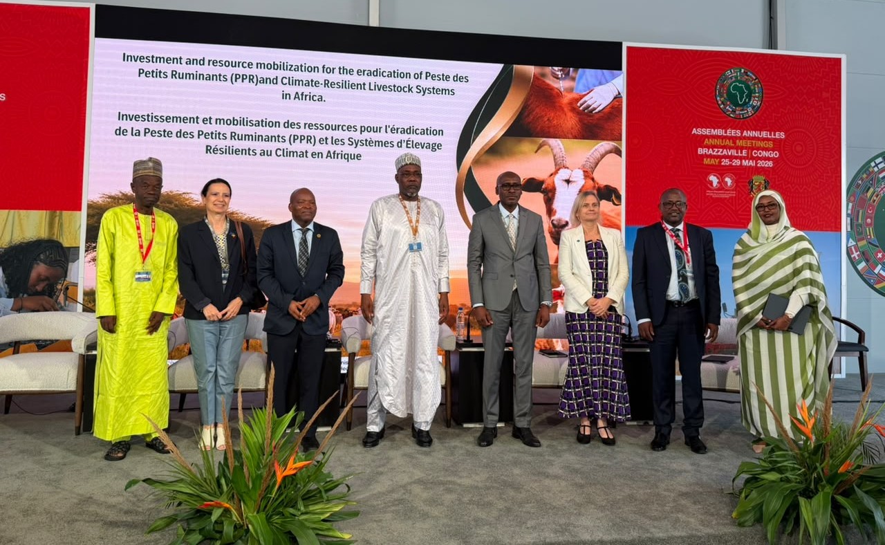 L'Afrique mobilise des investissements pour accélérer l'éradication de la PPR et renforcer les systèmes d'élevage résistants au climat