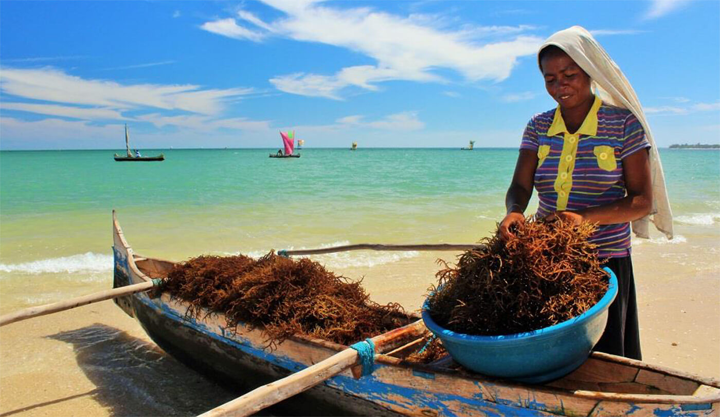 New Release - Continental Strategy For Gender Mainstreaming In Conservation Of Aquatic Biodiversity And Environmental Management In Africa