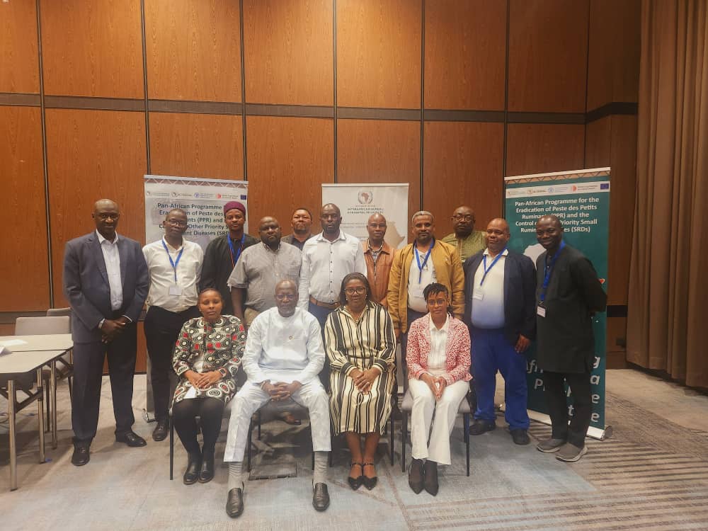 L'UA-BIRA, la FAO et l'OMSA valident de nouveaux outils de suivi et d'évaluation pour accélérer l'éradication de la PPR en Afrique.