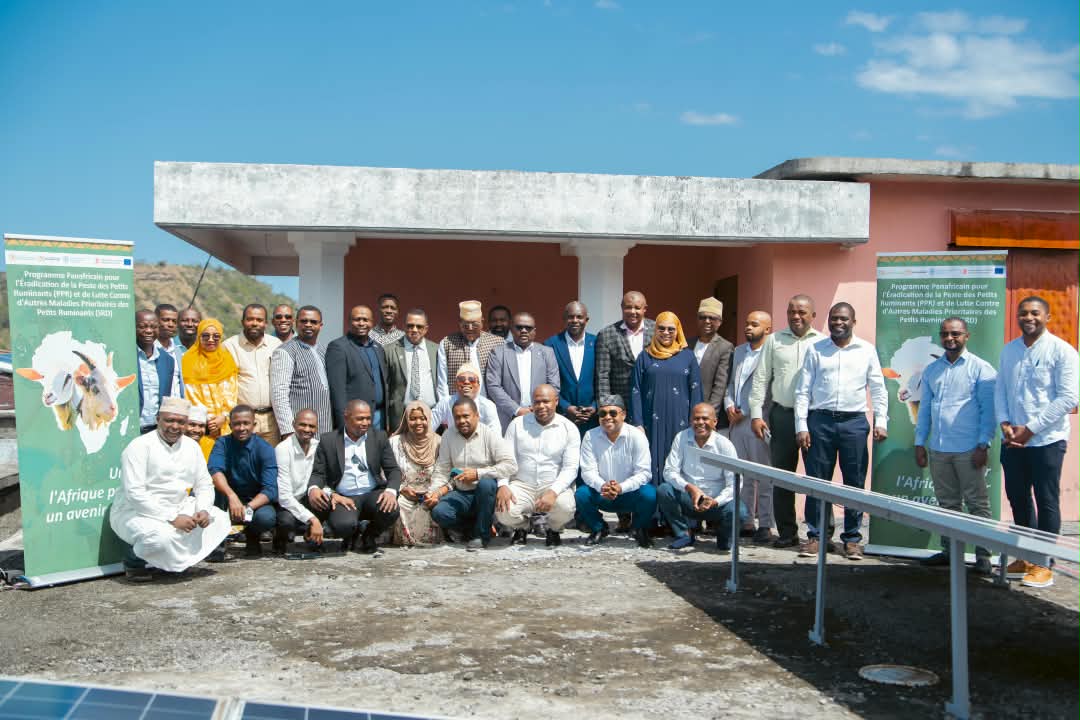 Comoros validates its 2026 to 2030 plan to eradicate PPR and protect livestock farmers' livelihoods.