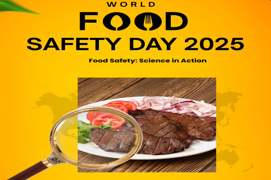 Regional Webinar Commemorates World Food Safety Day 2025: Ensuring Safe Food for All in Africa