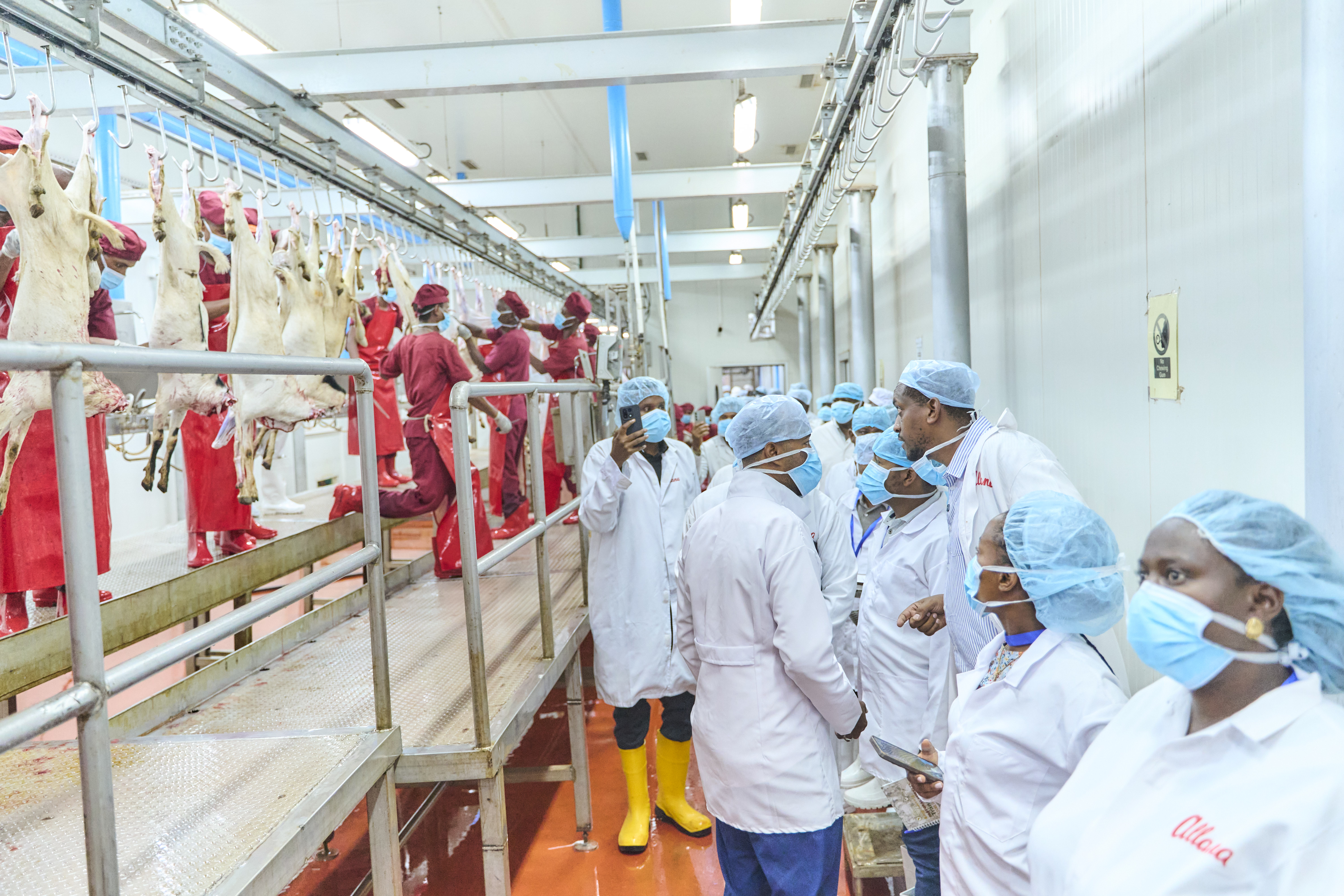 Strengthening livestock market access through quality assurance and contracting models