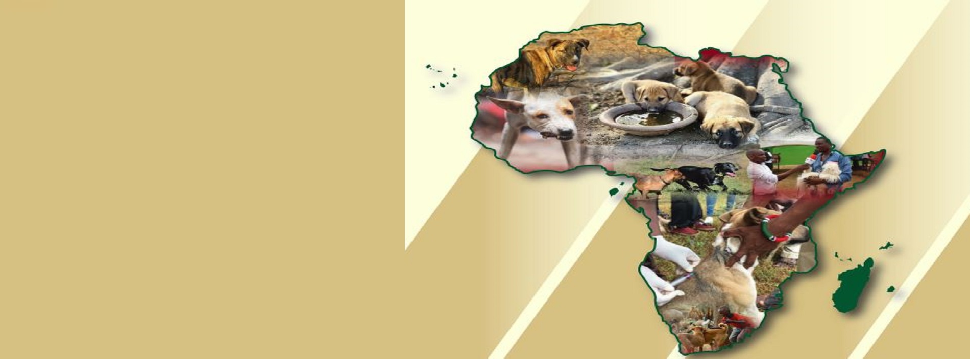 Pan-African