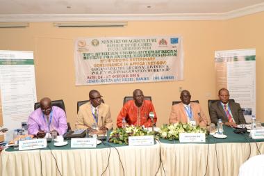 © 2016 AU-IBAR. From left to right: Dr Duto Fofana (DG Livestock, The Gambia), Mr Ernest Aubee (ECOWAS), Hon. Sheriffo Bojang (Deputy Minister), Dr Baboucarr Jaw(AU-IBAR), Dr Berhanu Bedane (FAO).