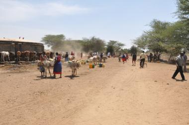 © 2016 AU-IBAR. Vulnerable livestock-keeping communities in Kajiado County, Kenya.